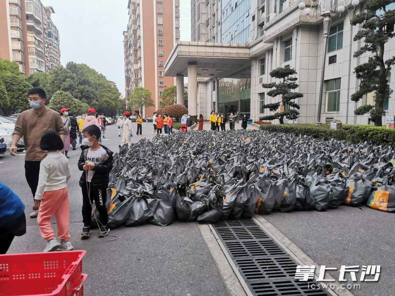 780份蔬菜包送到了湘林小區院內。長(cháng)沙晚報實(shí)習生 羅楊 攝